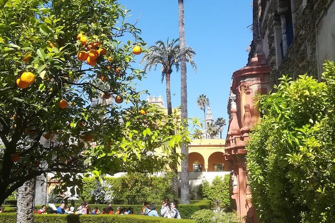 Private Tour to the Real Alcazar of Seville - End Point Information