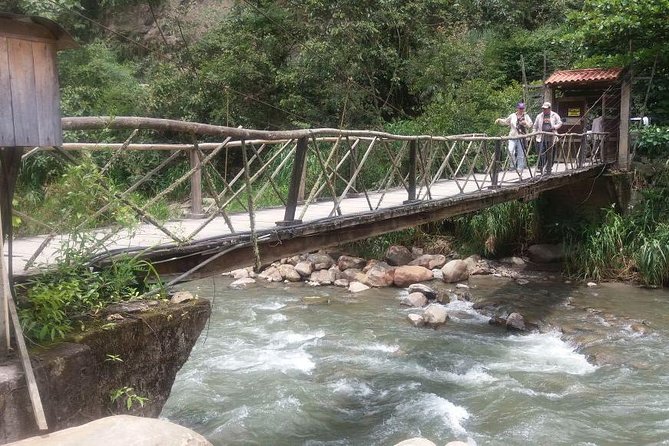 Private Tour to the Yungas Coroico the Death Route From La Paz - Transportation Details