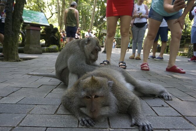 Private Tour Ubud and Tanah Lot Temple