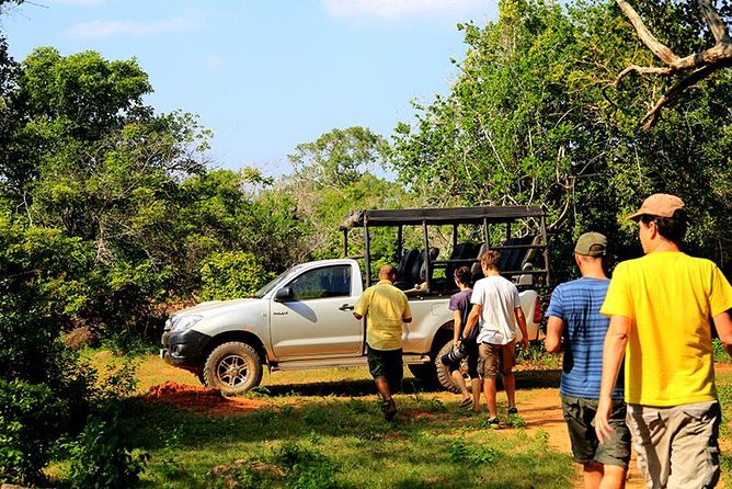 Private Tour: Yala National Park Safari - Meeting & Pickup