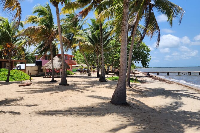 Private Transfer From Belize City to Hopkins Village - Start Time Information