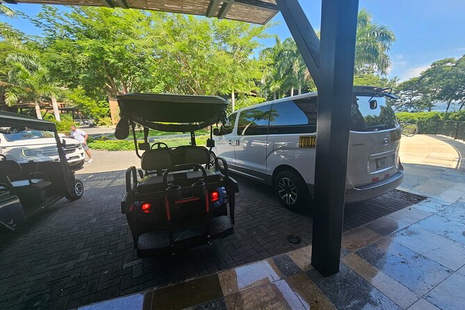 Private Transfer From Liberia Airport To Riu Palace - Pickup Process