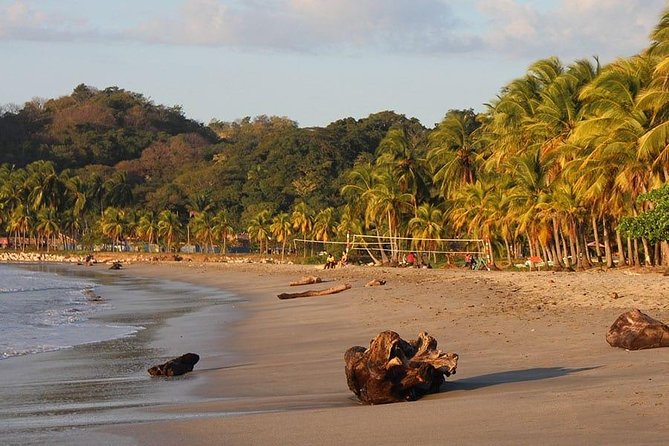 Private Transfer From Liberia Airport To Samara And Carrillo Beach - Vehicle Features and Comfort