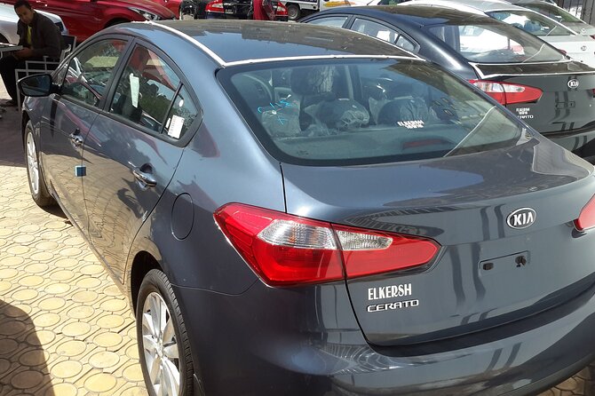 Private Transfer From Luxor Hotels to Hurghada Hotels - Drop-off Location