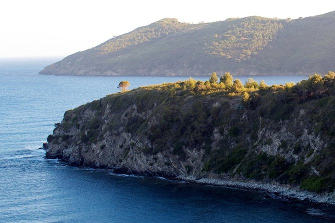 Private Transfer From Marina Di Campo (Eba) Airport to Capoliveri
