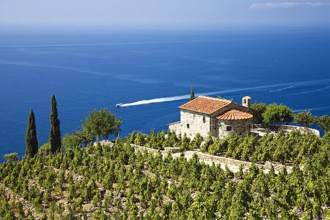 Private Transfer From Marina Di Campo (Eba) Airport to Porto Azzurro - Additional Information
