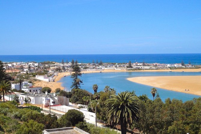 Private Transfer From Marrakech to El Oualidia - Amenities Provided in the Transfer