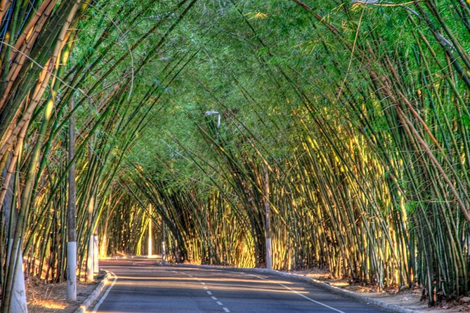 Private Transfer From Salvador Airport to Hotel by Minivan - Pickup and Drop-off Details