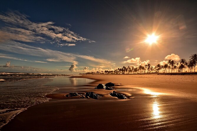 Private Transfer From Salvador International Airport to Salvador - Included Costs and Fees