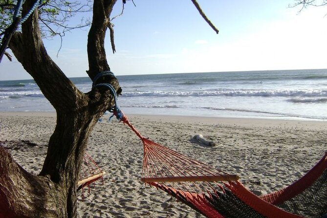 Private Transfer From San Jose Airport To Santa Teresa Beach - Vehicle Amenities