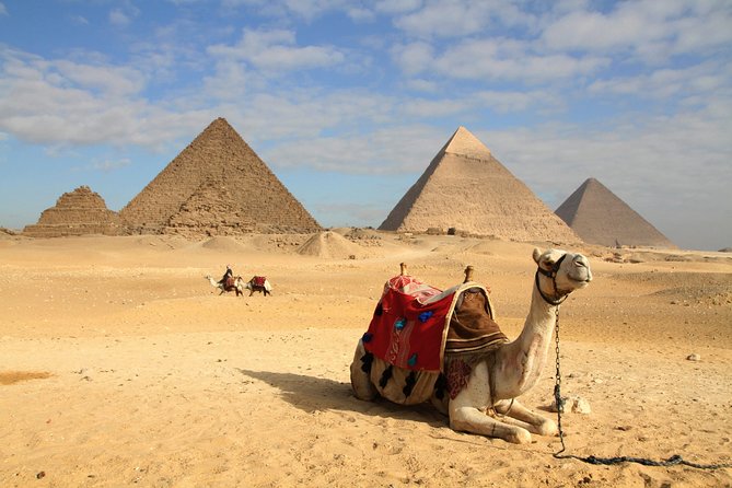 Private Transfer From Sharm El Sheikh to El Cairo (Cai) Airport - Start Time and Info