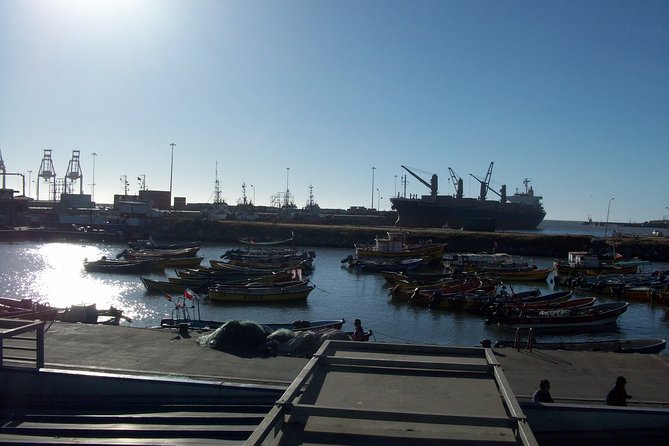Private Transfer From Valparaiso or Viña Del Mar to San Antonio - Driver Information