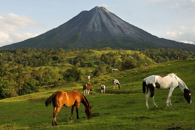 Private Transport Monteverde to Arenal - Journey Duration and Details