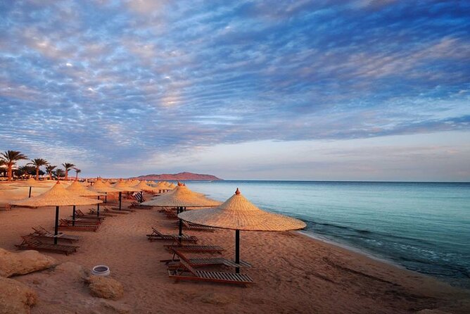 Private Trip Visit Red Sea El Ain Sokhna From Cairo - Pricing Information