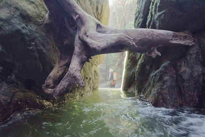 Private Ultimate Canyoning Experience in the Ochil Hills - Enjoy Premium Quality Equipment