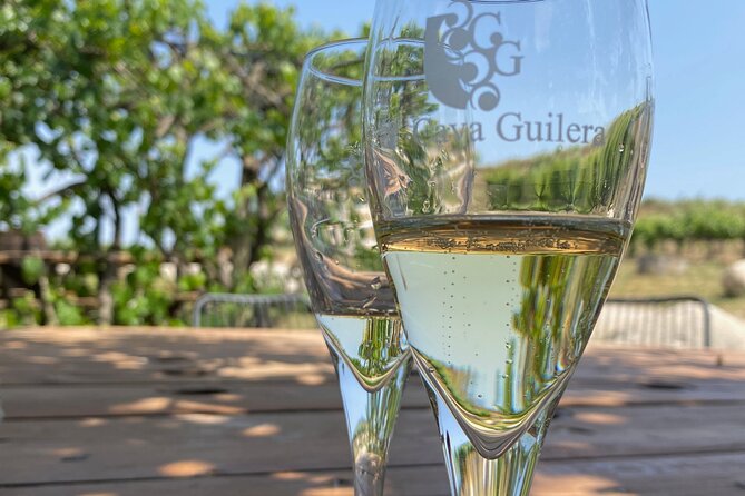 Private Vineyards and Villages Wine Tour With Lunch With Pickup From Barcelona - Exclusions