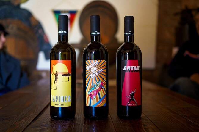 Private Visit to the Ugo Tognazzi House Museum With Wine Tasting - Meeting and Pickup Details