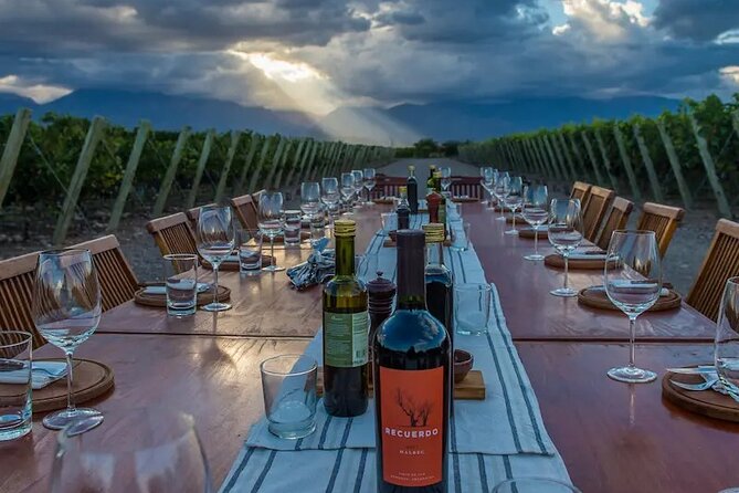 Private Wine Tasting and Vineyards - Tour Options Available