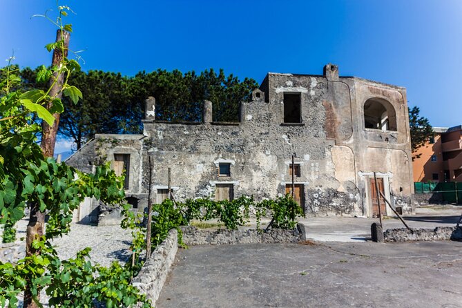 Private Wine Tour and Tasting in Pompeii With a Local - Location Details