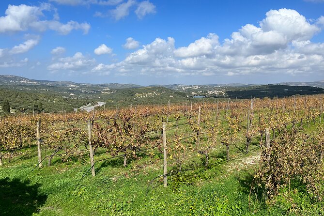 Private Wine Tour and Tastings at Dafnes Valley (Lunch Included) - Transportation Details