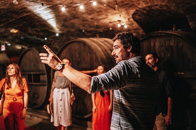Private Wine Tour in Provence With an Expert - Expert Guide Experience