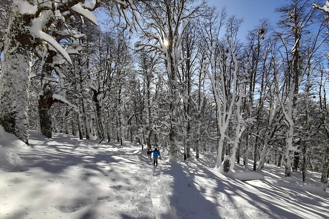 Private Winter Trekking Experience in Bariloche