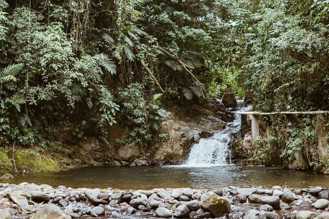 Private Xela Wellness Immersion in Guatemala - Transportation and Pickup Details