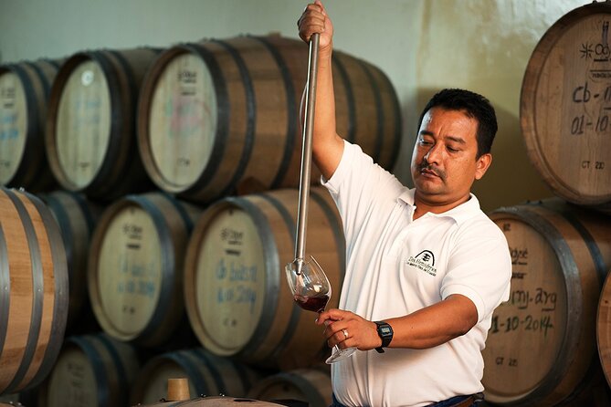 Process and Wine Tasting in Cellar Two Hemispheres - Puerto El Morro - Directions and Booking Information