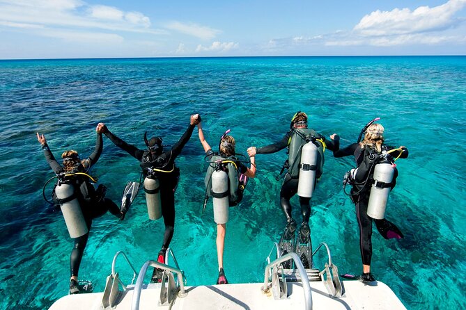 Professional Scuba Diving Tour, Lunch & Transfer From El Gouna