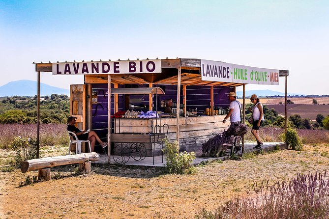 Provence – Lavender Fields Private Extended Full-Day Tour - Pickup Options