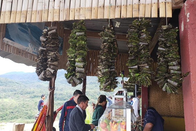 Puerto Misahualli | One Day Tour
