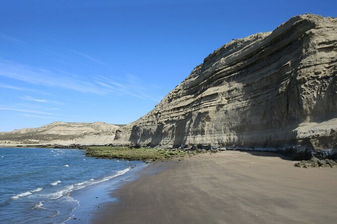 Puerto Piramides Private Tour And Sailing in Peninsula Valdes - Additional Information