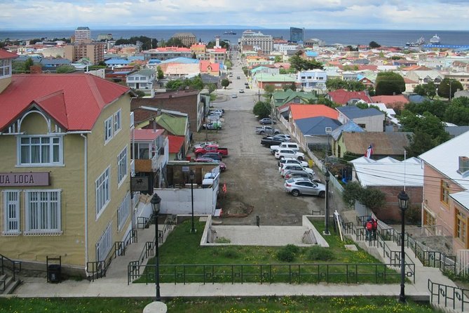 2 Best Shore Excursions In Punta Arenas