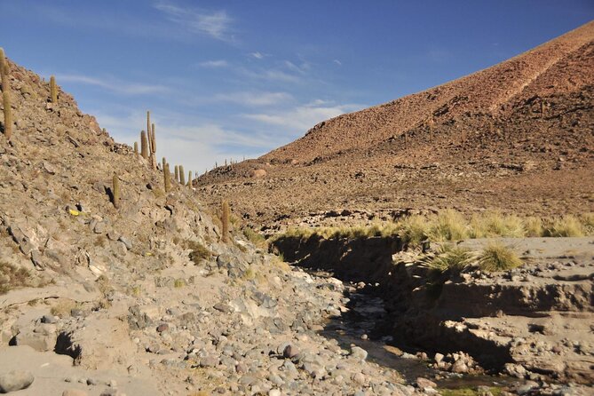 Puritama Canyon and Guatin Trekking - Extras