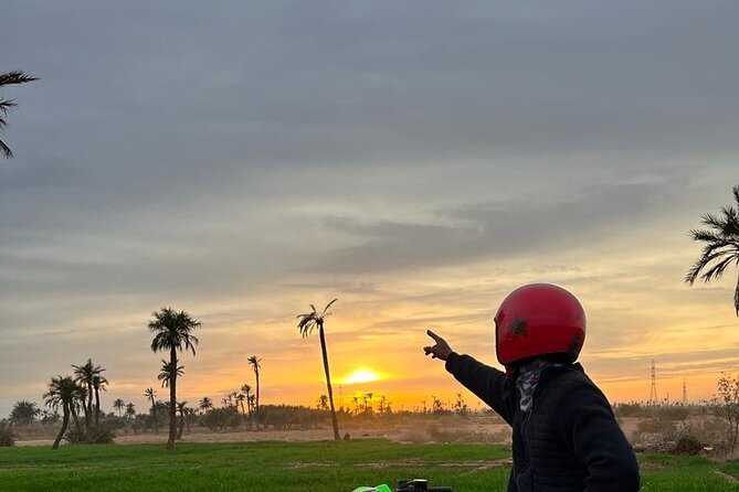 Quad and Camel Ride in the Desert of the Palmeraie Marrakech