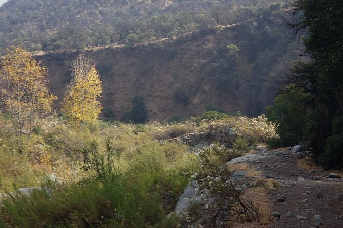 Quebrada De Macul 6 Hours Knowing the Natural Environment of Chile - Meeting Point and Start Time
