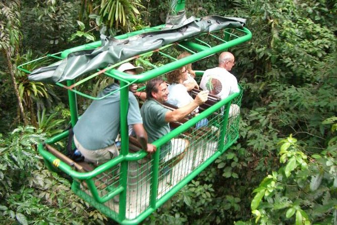 Rainforest Aerial Tram - Experience and Features
