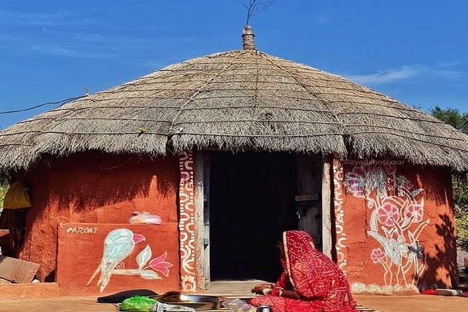 Rajasthan Village Tour - Meeting & Pickup