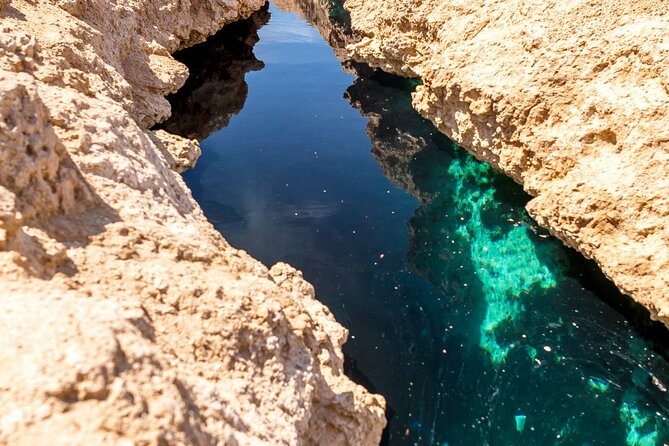 Ras Mohammed National Park by Bus + Snorkeling