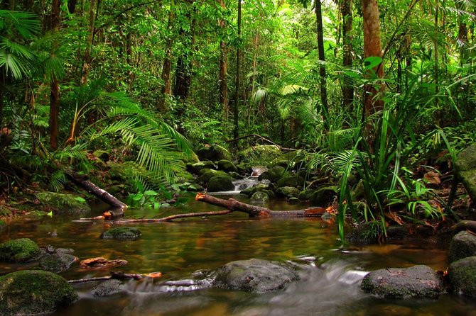 Ratnapura Full Day Tour With Water Falls, Gem Mines and Saman Devalaya