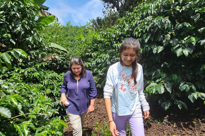 Real Coffee Experience and Birding Activity by Quito - Transportation and Inclusions