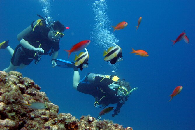 Red Sea Private Day Tour From Cairo - Pricing Information