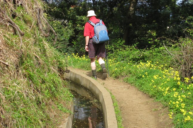 Referta / Castelejo 2-Hour Hike in the North Coast of Madeira - Additional Information