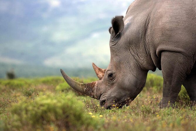 Rhino and Lion Park Safari Tour - Traveler Information