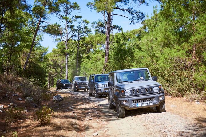 Rhodes Explorer Self-Drive Expedition and Culinary Odyssey - Pickup Information
