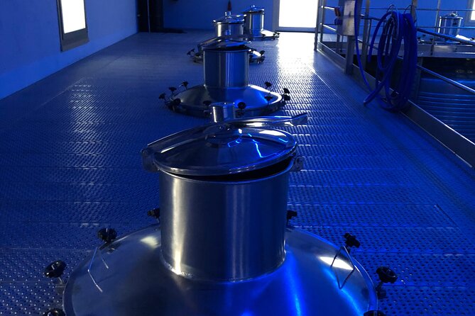 Ribera Del Duero From Madrid: Visit 2 Wineries With English Guide - Pickup and Meeting Details