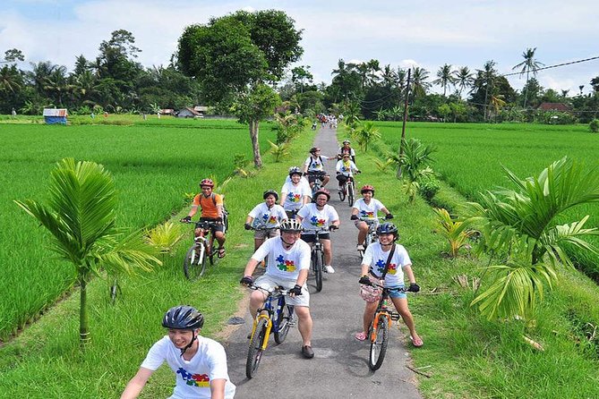 Rice Paddy Cycling Tour - Pickup Information