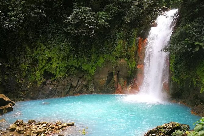 Rio Celeste Hike at Tenorio Volcano National Park - Inclusions of the Tour