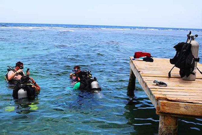 Roatan Discover Scuba Diving Experience - Reviews