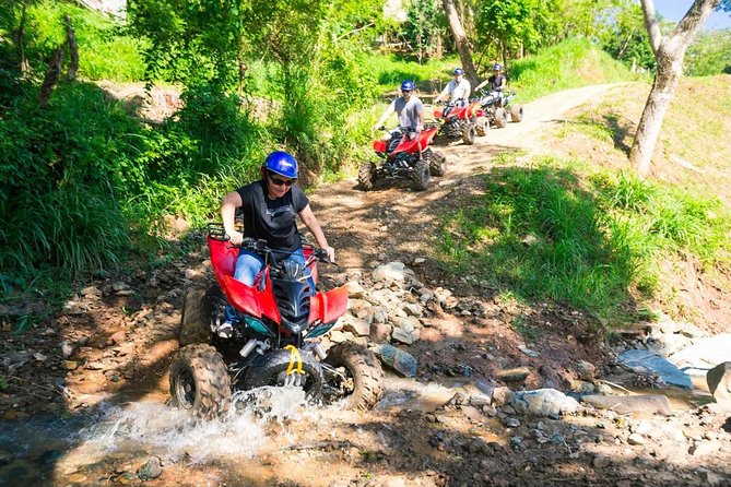 Roatan Jungle ATV Tour - Tour Details